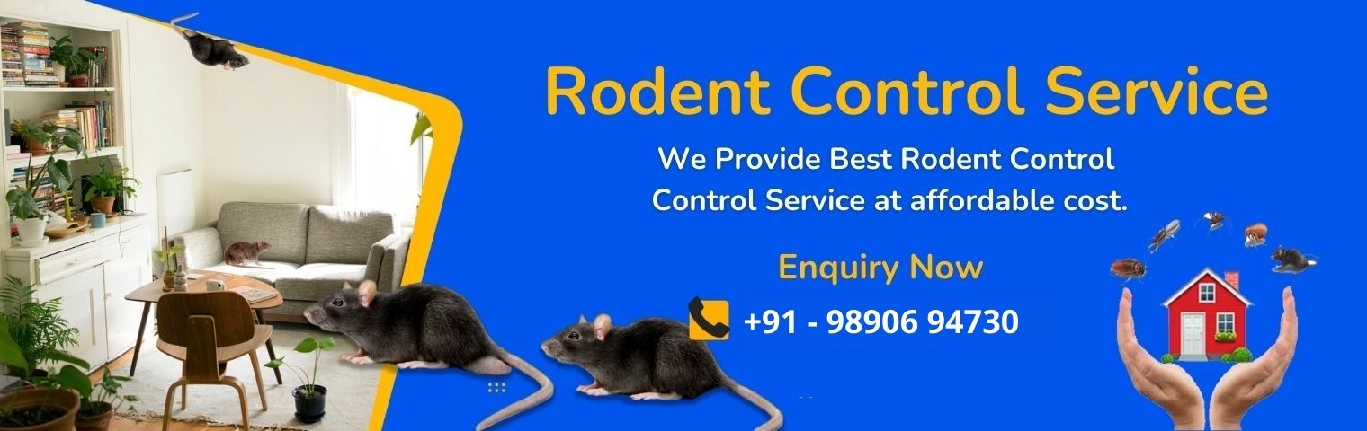 Pest control Service in  goa