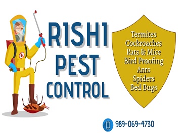 Pest control in goa
