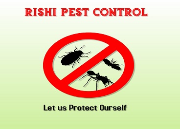 Pest control Service in goa