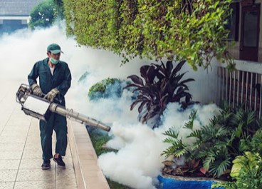 Pest control Service in goa