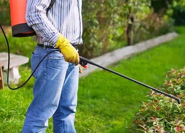 Pest control Service in Goa