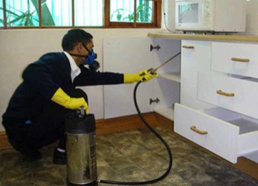 Pest control Service in Goa